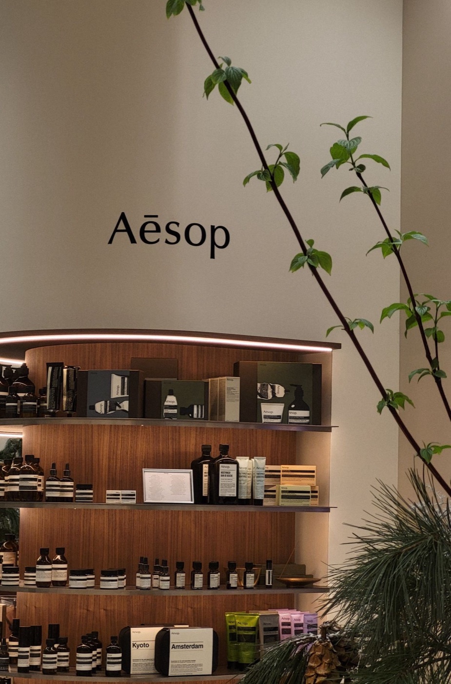 Полки Aesop с янтарными флаконами и ветка с листьями на переднем плане